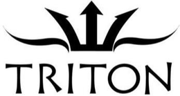 TRITON trademark