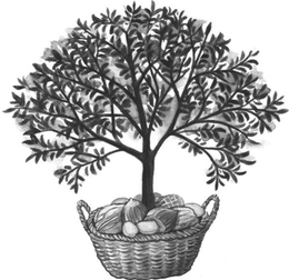 LogoMark trademark