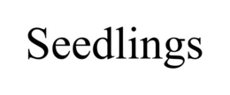 SEEDLINGS trademark