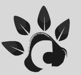 C trademark