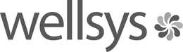 WELLSYS trademark