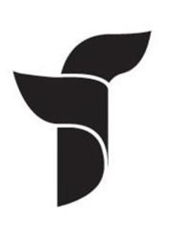 FT trademark