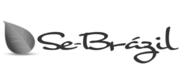 SE-BRAZIL trademark