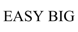 EASY BIG trademark