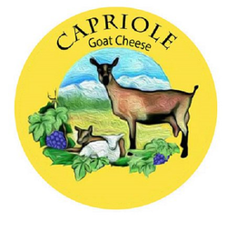 CAPRIOLE GOAT CHEESE trademark
