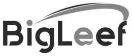 BIGLEEF trademark