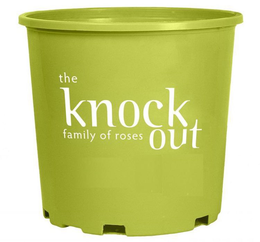THE KNOCK OUT FAMILY OF ROSES trademark