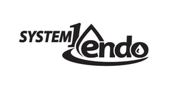 SYSTEM 1 ENDO trademark
