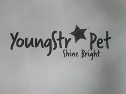 YOUNGSTR PET SHINE BRIGHT trademark