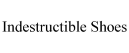 INDESTRUCTIBLE SHOES trademark