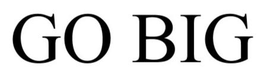 GO BIG trademark