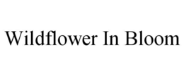 WILDFLOWER IN BLOOM trademark
