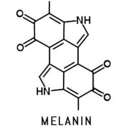 NH NH MELANIN trademark