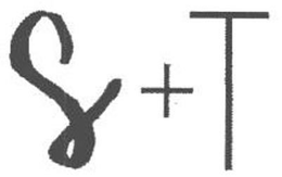 S + T trademark