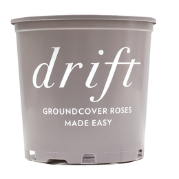 DRIFT GROUNDCOVER ROSES MADE EASY trademark