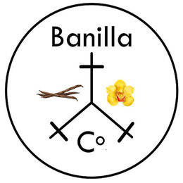 BANILLA CO. trademark