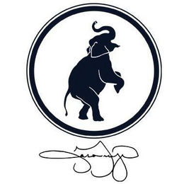 JASON GRAZIANI trademark
