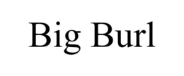 BIG BURL trademark