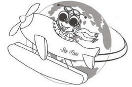 SKY TRIPI trademark