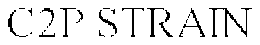 C2P STRAIN trademark