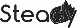 STEADY trademark
