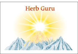 HERB GURU trademark