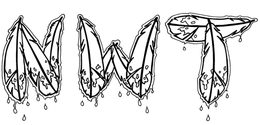 N W T trademark