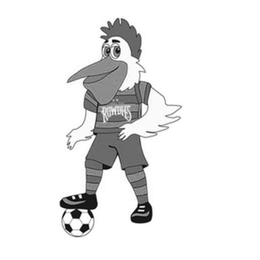 ROWDIES trademark