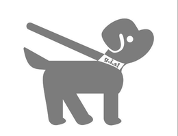 G.I.S! trademark