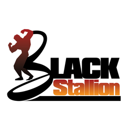 BLACK STALLION trademark