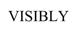 VISIBLY trademark