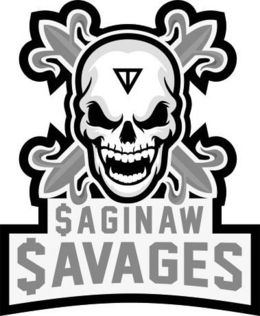$AGINAW $AVAGES trademark
