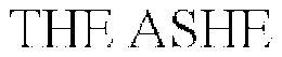 THE ASHE trademark