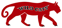 WILD CATS trademark