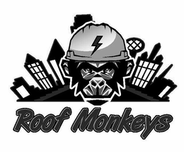 ROOF MONKEYS trademark