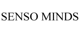 SENSO MINDS trademark