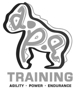 A.P.E TRAINING AGILITY · POWER · ENDURANCE trademark
