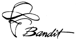BANDIT trademark
