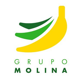 GRUPO MOLINA trademark
