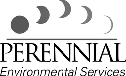 PERENNIAL ENVIRONMENTAL SERVICES trademark