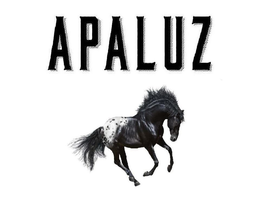 APALUZ trademark