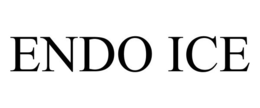 ENDO ICE trademark