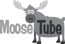 MOOSE TUBE trademark