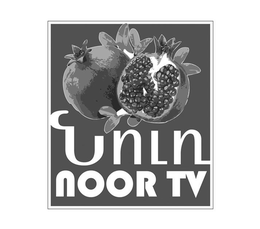 NOOR TV trademark
