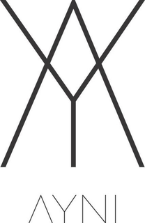 VY AYNI trademark