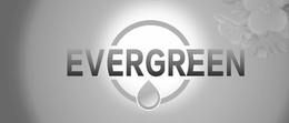EVERGREEN trademark