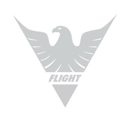 FLIGHT trademark