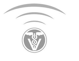V trademark