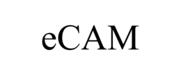 ECAM trademark