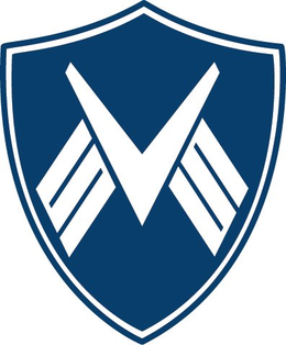 VSS trademark